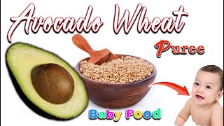 Avocado Wheat Puree for Babies  WEIGHTGAIN BABY FOODs  Avocado Puree  6months plus Baby food [upl. by Meensat687]