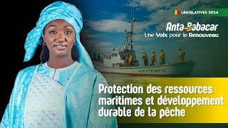 La protection des ressources maritimes et le développement durable de la pêche [upl. by Kcirdle727]