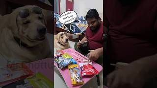 Konjam overa poromapovom😛 funnyvideos vadivelu dogshorts trending pets love daddy doglover [upl. by Xineohp677]