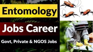 Entomology  Careers in Entomology  Entomology Job Scope [upl. by Inilam86]