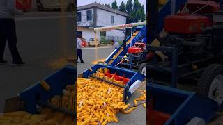 Doublecylinder corn thresher with rotating elevator large corn thresher quotnew corn thresherquot [upl. by Alpheus]