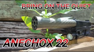 AnechoX 22 Suppressor  Bring on the Quiet [upl. by Oona140]