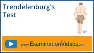 Trendelenburgs Test [upl. by Perusse]