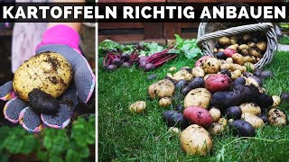 Kartoffeln anbauen im Garten  Kartoffeln pflanzen und planen  Tipps [upl. by Fellner680]