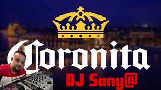 Brutális CORONITA MIX  DJ Sany  PBT Sanyi  Pécsi Bogdán Tesók 2024 [upl. by Airdnaid]