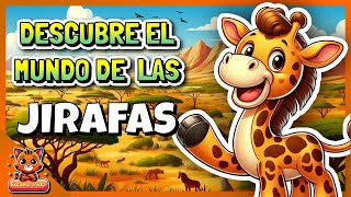 ¡Descubre el Maravilloso Mundo de las Jirafas 🦒🌞 [upl. by Terza]