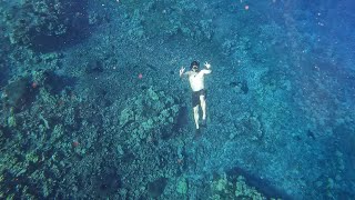 Molokini and Turtle Station [upl. by Moll261]