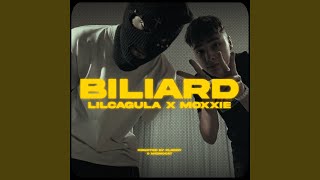 Biliard feat NL Moxxie [upl. by Locke454]