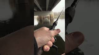 Fishing fishing minnesota fishinglife fisherman fishingtiktoks fishcontent fish mn [upl. by Brendon]