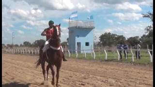 Hipódromo Camarero EN VIVO [upl. by Aicila]