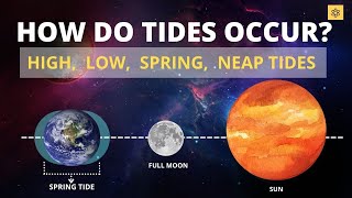 How Do Tides Occur Low tide High Tide Spring Tide Neap Tide [upl. by Anestassia]