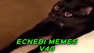 ECNEBI MEMES V40 [upl. by Eirot]