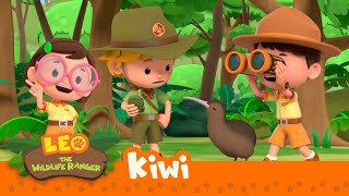 Kiwi  What is the kiwi looking for  Leo the Wildlife Ranger  Animation for Kids [upl. by Chi]