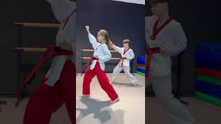 Taekwondo  Poomsae 6  Training [upl. by Della]