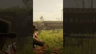 Killing Lemoyne raiders reddeadredemtion2 rdr2 gaming [upl. by Araz]