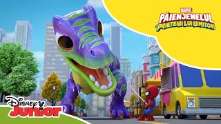 🦖 Vecinul Dinozaur  Păienjenelul Marvel și prietenii lui uimitori  Disney Junior România [upl. by Andrien]