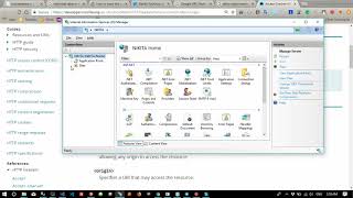 access controll allow origin on IIS [upl. by Louisette]