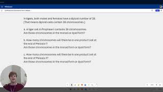 Practice Problem involving the concepts of meiosis cell ploidy and chromosome forms [upl. by Idurt872]