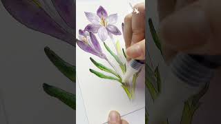 Botanical art tips how to mix colours using Albrecht Dürer Watercolour Marker colourless blender [upl. by Pirbhai324]