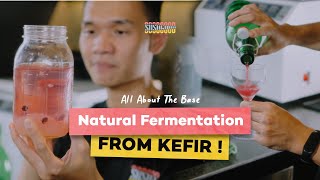 All About Them Base  Natural Fermentation from Kefir [upl. by Naerad]