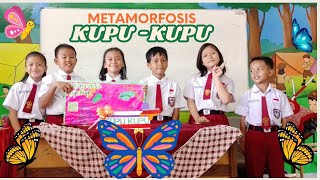 METAMORFOSIS KUPU  KUPU [upl. by Shifrah]