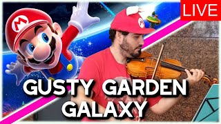 Gusty Garden Galaxy  Super Mario Galaxy Public Street Performance [upl. by Lrigybab]