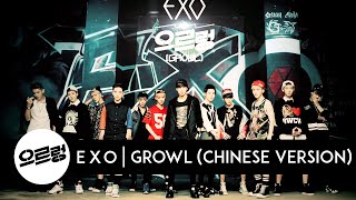 EXO  Growl Chinese Version Audio [upl. by Yffub]