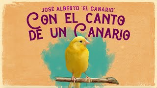 José Alberto quotEl Canarioquot  Con El Canto De Un Canario Lyric Video [upl. by Frydman146]