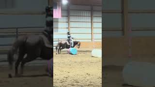 My Lesson Yesterday W Daisy Vlog Coming Out Today fypシ゚ horse horsecare equestrian [upl. by Ranique]