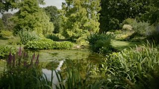 Beth Chatto Gardens Right Plant amp Right Place  Carol Kleins Great British Gardens [upl. by Nastassia942]