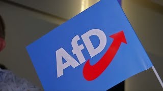 SONNTAGSFRAGE In Ostdeutschland wäre die AfD aktuell stärkste Partei [upl. by Jermyn]