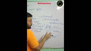 Arthropoda Phylum  Arthropoda Classification  Part12 btosacademy [upl. by Crary263]