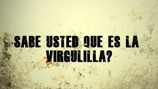 Qué es la virgulilla  ahora sí nuestro primer video [upl. by Ltney]