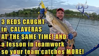 Calaveras lake INSANE triple catch With DP Fishing ONLY watch if you are on a team and SERIOUS [upl. by Euhc938]