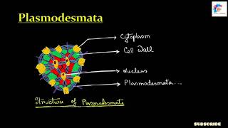 Plasmodesmata in Bengali [upl. by Juanne]