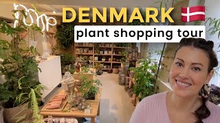 DENMARK Plant Shopping Tour amp Haul  3 Silver Sword Philodendron Copenhagen Denmark Indoor Plants [upl. by Anuait]