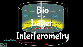 Bio Layer Interferometry  BLI Technology  Biomolecular Intractions Using Bio Layer Interferometry [upl. by Antoinetta538]