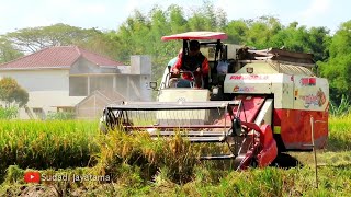 KOMBI SAWAH MAXXI BIMO NDR 102L MENYEBERANG JALAN RAYA [upl. by Bunting]