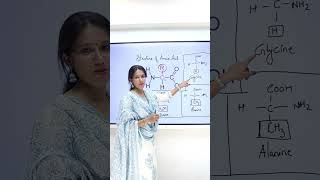 Structure of Amino Acid 🧪  NCERT Biology Class 1112  Quick Overviewquot [upl. by Rosaleen]