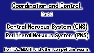 Brain Spinal Cord and PNS [upl. by Kuebbing]