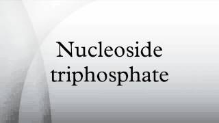 Nucleoside triphosphate [upl. by Schriever204]