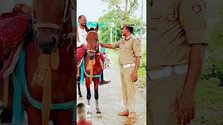 horse tamil automobile comedy horserider horseriding roadsafety trafficawarenes police [upl. by Aihsei588]