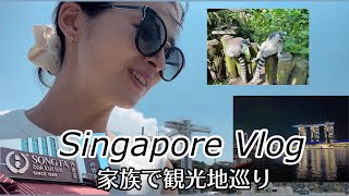 【Vlog】家族とお出かけシンガポール観光 [upl. by Giuseppe795]