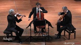 Nuovo Trio Italiano dArchi  Mozart Divertimento in mi bemolle maggiore K 563 Gran Trio [upl. by Iran684]