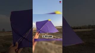 Patang Looti😍  Big Kites kitelooting caughtkite catchingkite [upl. by Aan518]