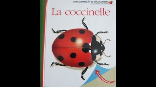 La coccinelle  album documentaire [upl. by Arinaj91]