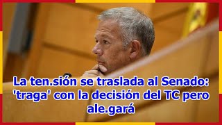 La tensión se traslada al Senado traga con la decisión del TC pero alegará [upl. by Knapp]