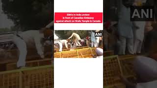 Sikhs in India protest in front of Canadian Embassy canada canadavsindia viralvideo sikh news [upl. by Donovan260]