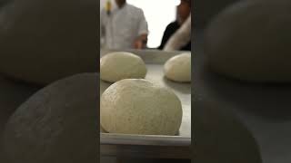 🔴 Mira esta masa de PIZZA con HARINA INTEGRAL [upl. by Ybbil]