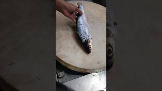 Giant Milk Fish Fast Cutting Skillsshorts [upl. by Audres]